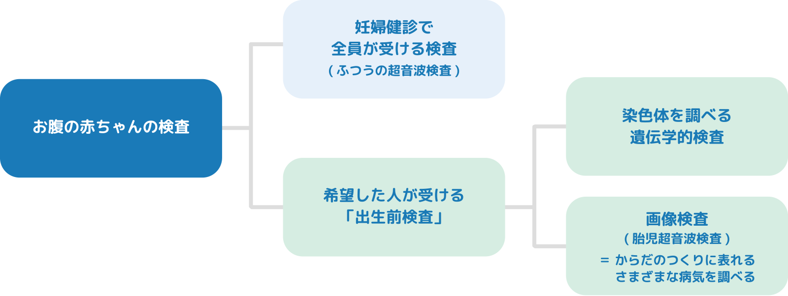 お腹の赤ちゃんの検査の種類 | 出生前検査認証制度等運営委員会